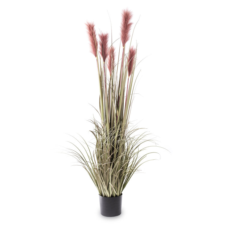 Die Saisontruhe Kunstpflanze Pampasgras im Topf Wayfair.de